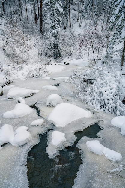 Foto belleza paisaje de invierno con árboles hermosos y río bajo la nieve