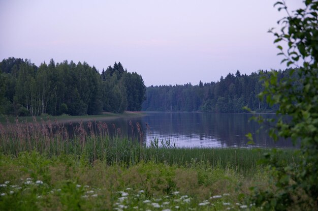 la belleza del paisaje de verano