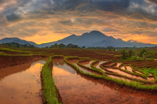 La belleza del panorama natural de los campos de arroz con montañas y amanecer por la mañana