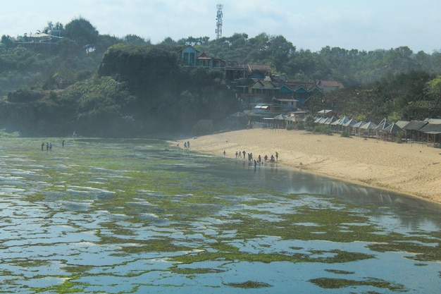 Foto la belleza de la playa