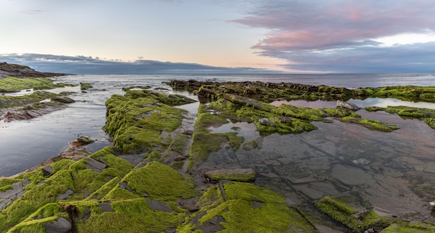 La belleza de las playas del norte de España con el musgo sobre sus rocas.