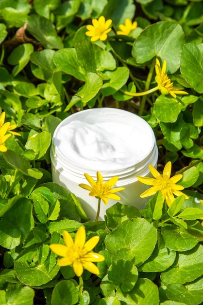 Belleza recolectada en la naturaleza Productos cosméticos para el cuidado de la piel sobre fondo de plantas naturales con flores silvestres Conjunto frascos blancos tubos cuentagotas botellas Spa rutina diaria de cuidado de la piel natural orgánico