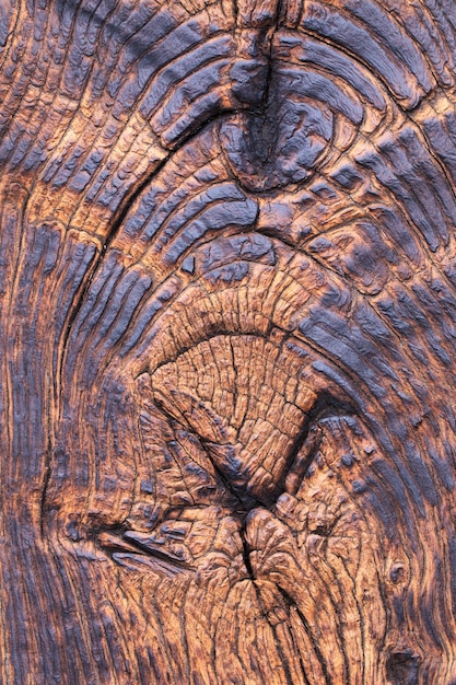 La belleza resucitada de la madera de Fénix en un tablero de roble quemado