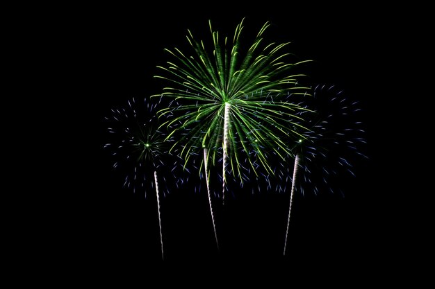 Bellos fuegos artificiales coloridos de año nuevo sobre cielo oscuro