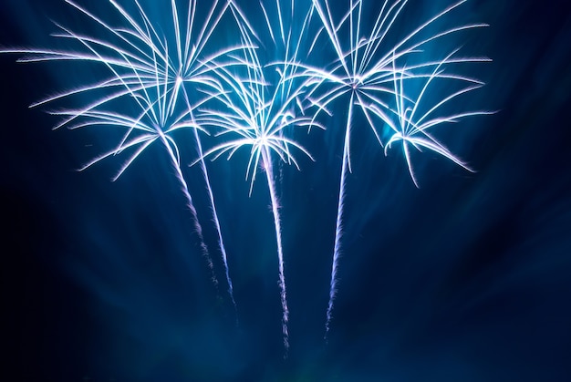 Bellos fuegos artificiales en el fondo del cielo negro