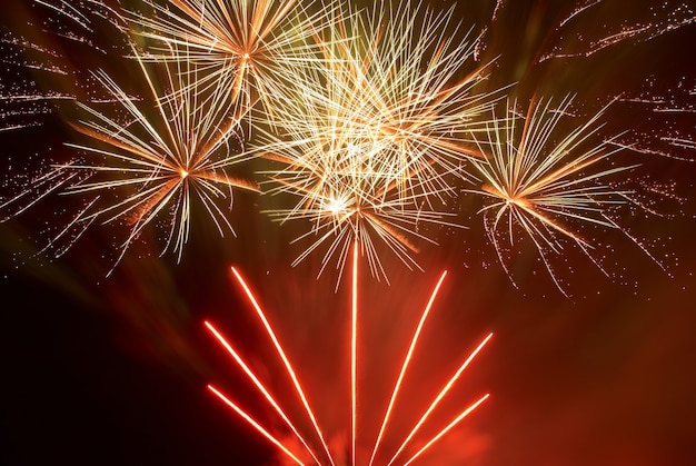 Bellos fuegos artificiales en el fondo del cielo negro