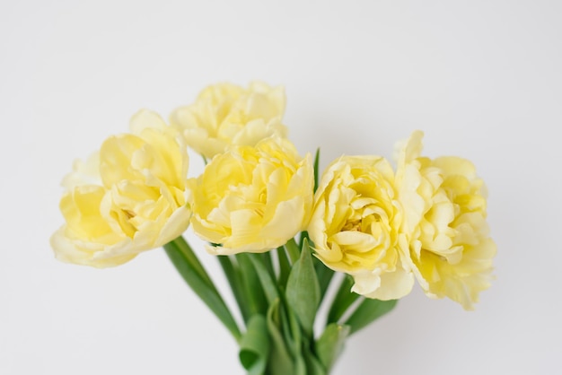 Belo arranjo de flores da primavera Flores de tulipas amarelas em um fundo branco