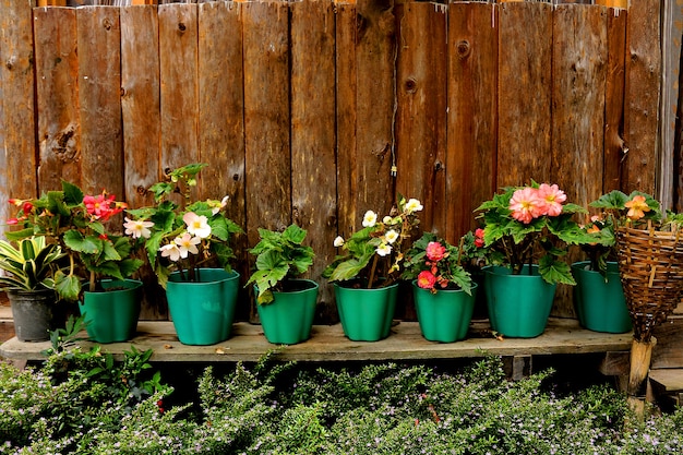 Foto belo arranjo de flores de fundo