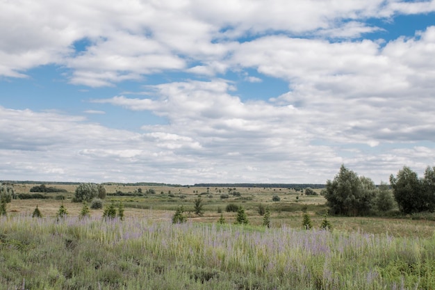 Belo campo com árvores e nuvens na Itália