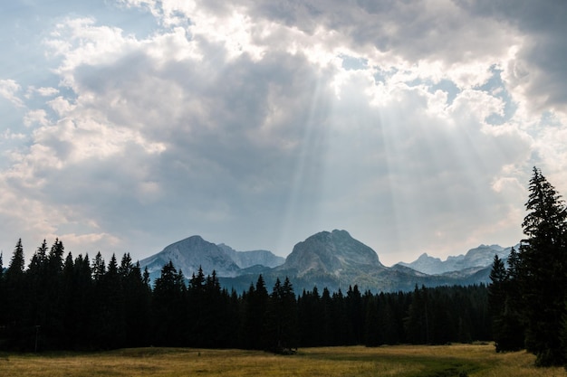 Belo campo de floresta de montanhas de paisagem em Montenegro os raios do sol atrás das nuvens