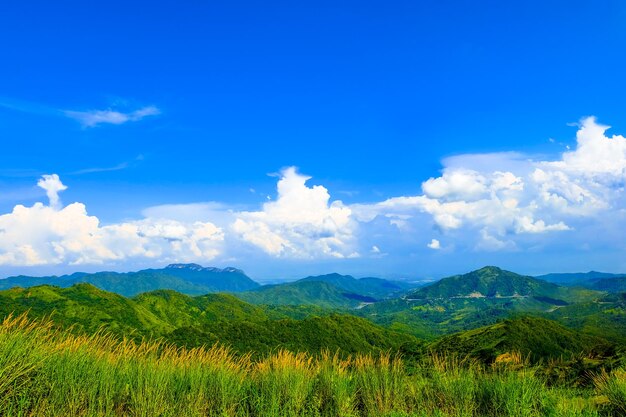 Foto belo campo de primavera com uma grama verde e a montanha em céu azul nuvens brancas xa