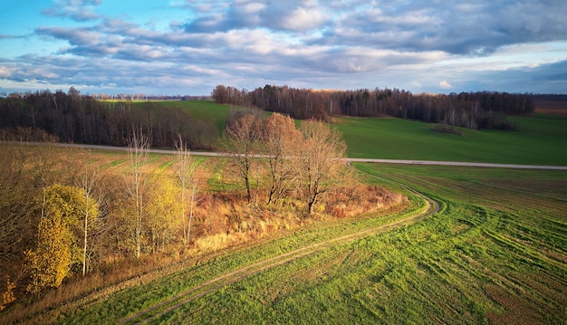 Belo campo verde, cereal de inverno e céu azul nublado de outono