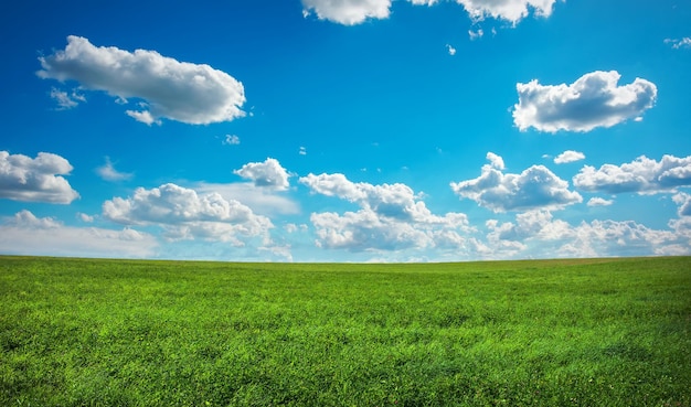 Belo campo verde e céu azul nublado