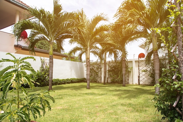 Belo canto do pequeno jardim, decoração de jardinagem e paisagismo