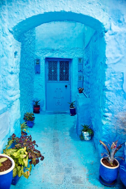 Foto belo conjunto diversificado de portas azuis da cidade azul