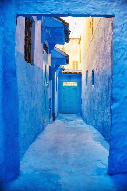 Belo conjunto diversificado de portas azuis da cidade azul