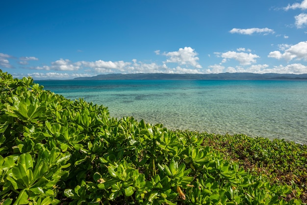 Belo contraste entre a vegetação verde, o mar turquesa e a ilha Iriomote no fundo, Japão.