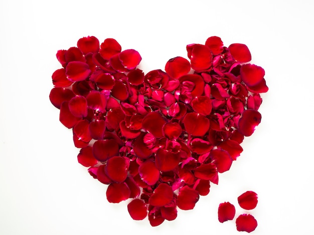 Belo coração de pétalas de rosa vermelhas em branco