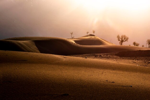 Foto belo deserto ao nascer do sol em fundo de paisagem montanhosa