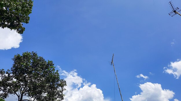 Belo fundo de céu azul limpo entre árvores e antena de tv