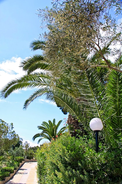 Belo jardim com flores e gramado verde