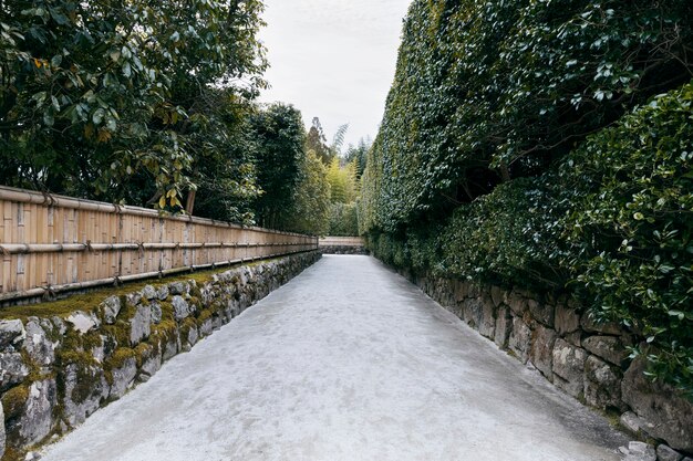 Foto belo jardim japonês