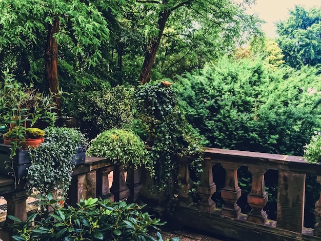 Belo jardim verde com flores no quintal de luxo