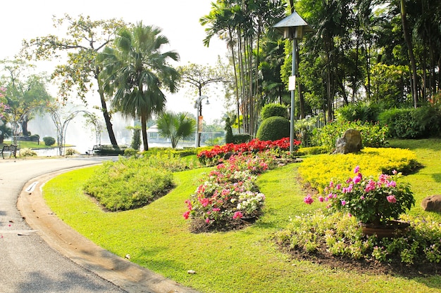 Foto belo jardim