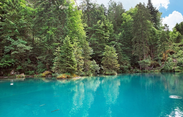 Belo lago Blausee