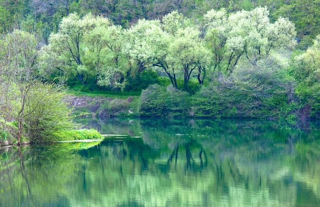 Belo lago com árvores de primavera e rochas reflexo da montanha na superfície da água