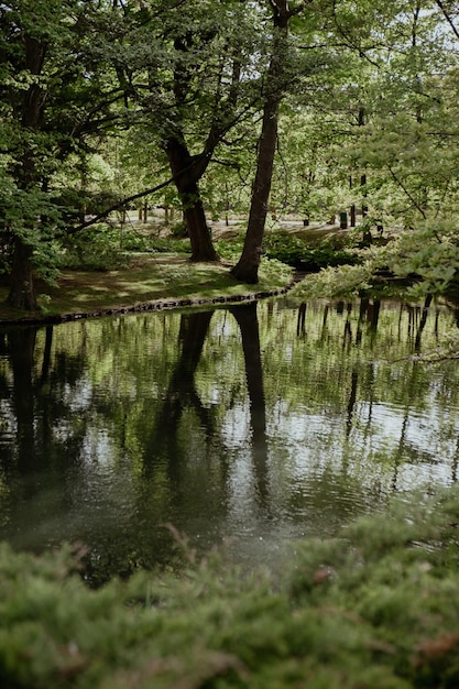Belo lago de primavera e floresta Temporada de primavera Fundo natural abstrato Silhuetas embaçadas