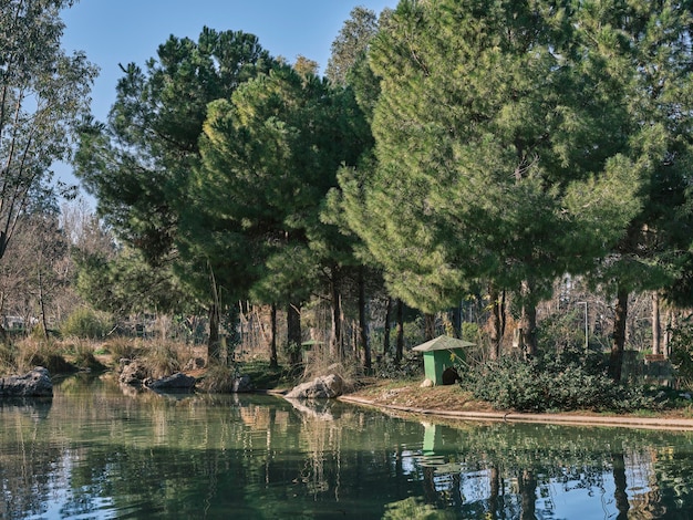 Belo lago e árvores na natureza