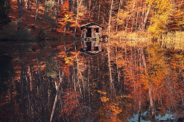 Belo lago na floresta de outono Árvores com folhas amarelas refletidas na água