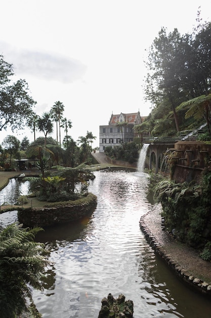 Foto belo lago no jardim do monte com palmeiras em cascata e palácio no parque exótico da ilha da madeira