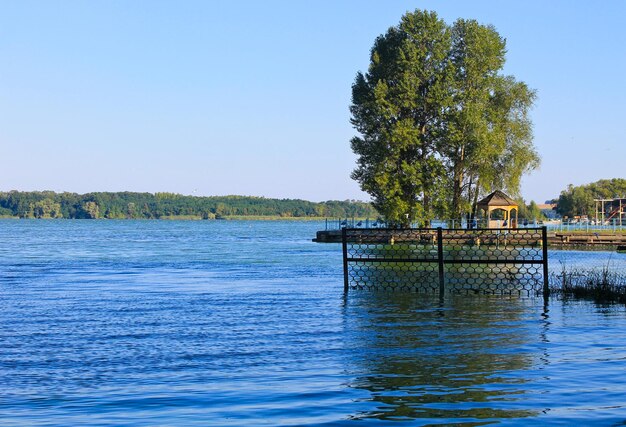 Belo lago no verão