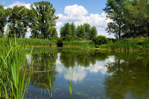 Belo lago no verão