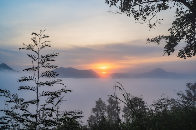 Belo nascer do sol com mar de nevoeiro nas primeiras horas da manhã na cidade de leoi do distrito de phu thok chiang khan, Tailândia.