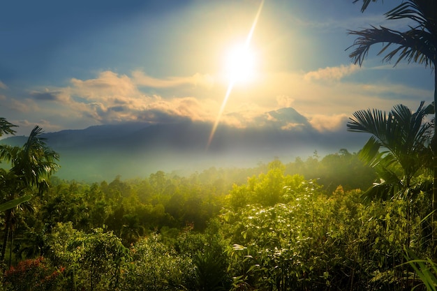 Belo nascer do sol da montanha nevoenta