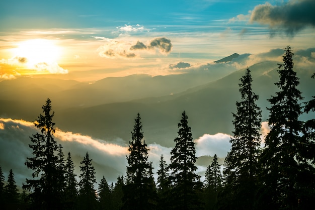 Belo nascer do sol na floresta de montanha com céu mágico no fundo