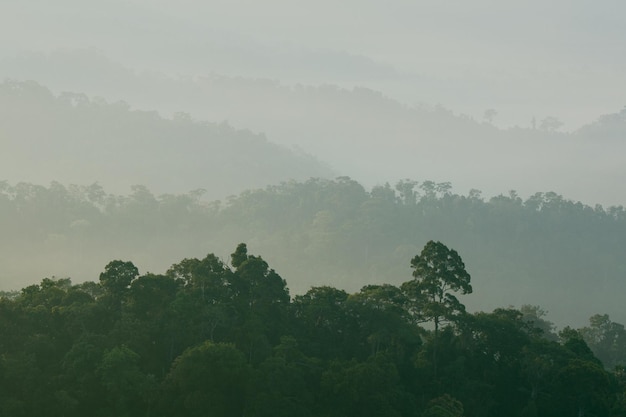 Belo nascer do sol nas montanhas da manhã nublada no Parque Nacional Kaeng Krachan, Tailândia