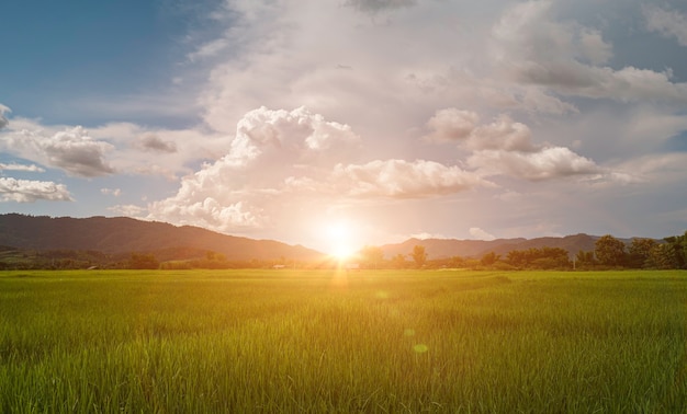 Belo nascer do sol sobre as montanhas e o campo de arroz verde. paisagem rural na Tailândia