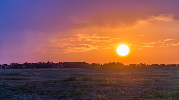 Foto belo nascer do sol sobre o campo. noite de verão em blagoveshenskaya. anapa, rússia.