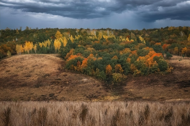 Foto belo panorama da floresta de outono nas colinas da montanha