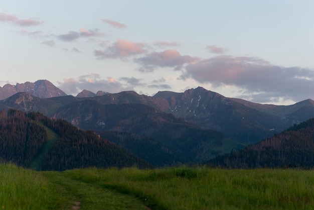 Belo panorama das montanhas capratian polonesas em Zakopane na hora do pôr do sol Linda grama verde