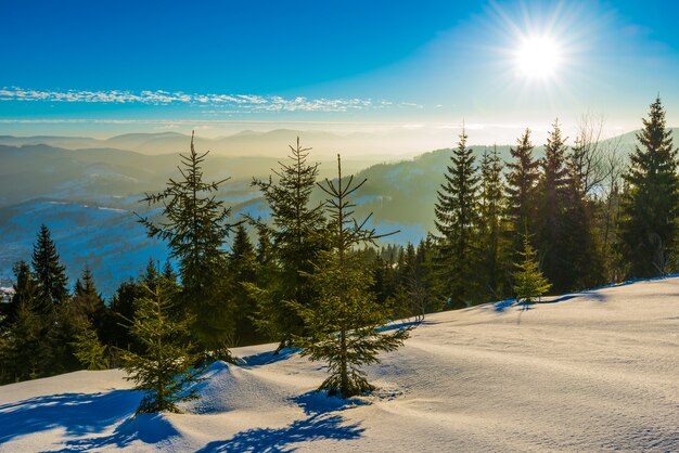 Belo panorama de uma encosta nevada com uma floresta e vista para as cadeias de montanhas nevadas