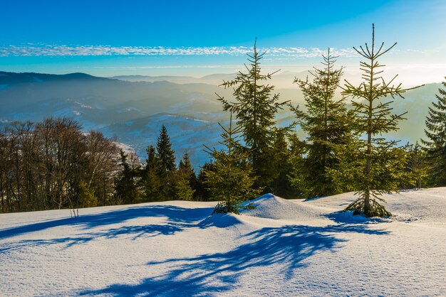 Belo panorama de uma encosta nevada com uma floresta e vista para as cadeias de montanhas nevadas