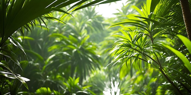 Belo papel de parede com uma paisagem tropical Selva com palmeiras e outras plantas verdes selvagens Ilustração da floresta tropical IA generativa