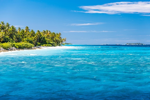 Belo paraíso verde ilha no oceano. Trópicos relaxantes papel de parede de paisagem de praia