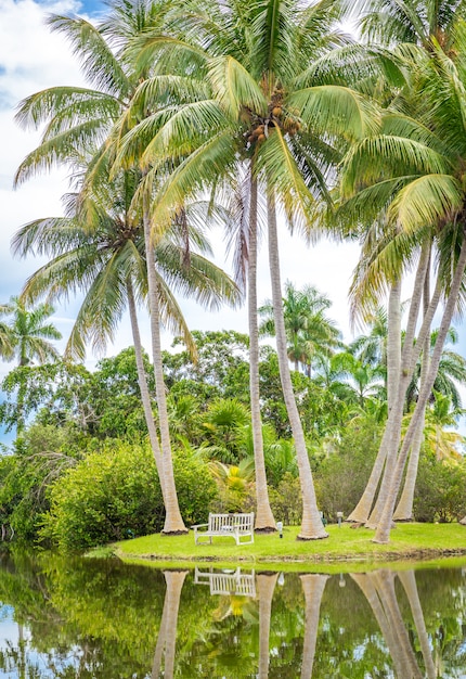 Belo parque com natureza tropical e palmeiras