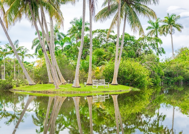 Belo parque com natureza tropical e palmeiras